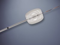 Cook® Fusion Quattro™ Extraction Balloon